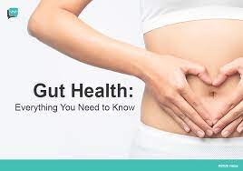 4 ways to improve your gut health